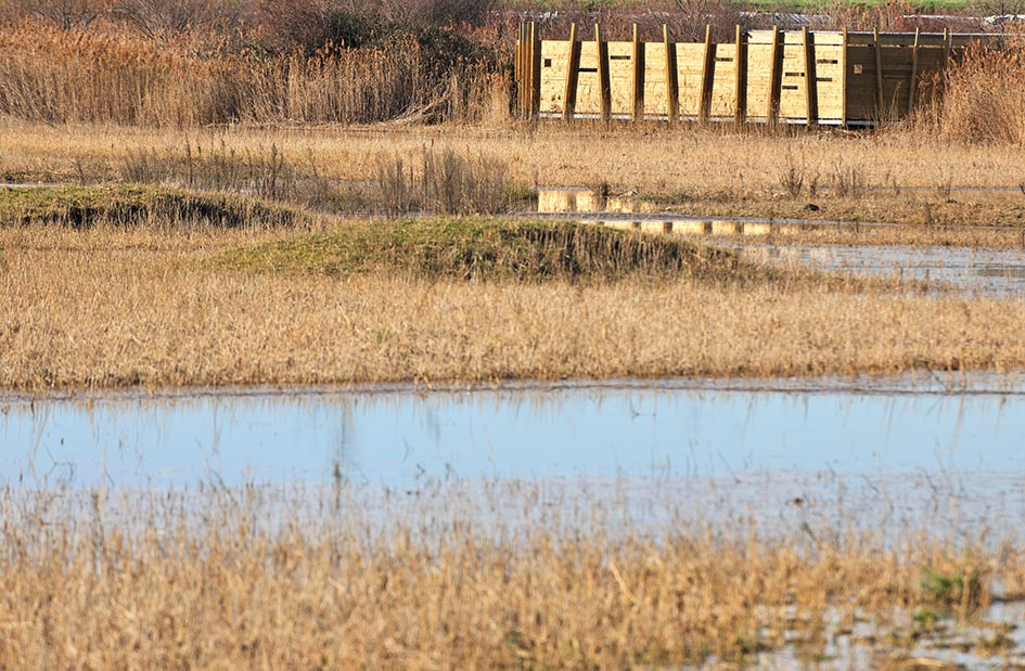 ravnikar potokar arhitekturni biro skocjanski zatok 2016