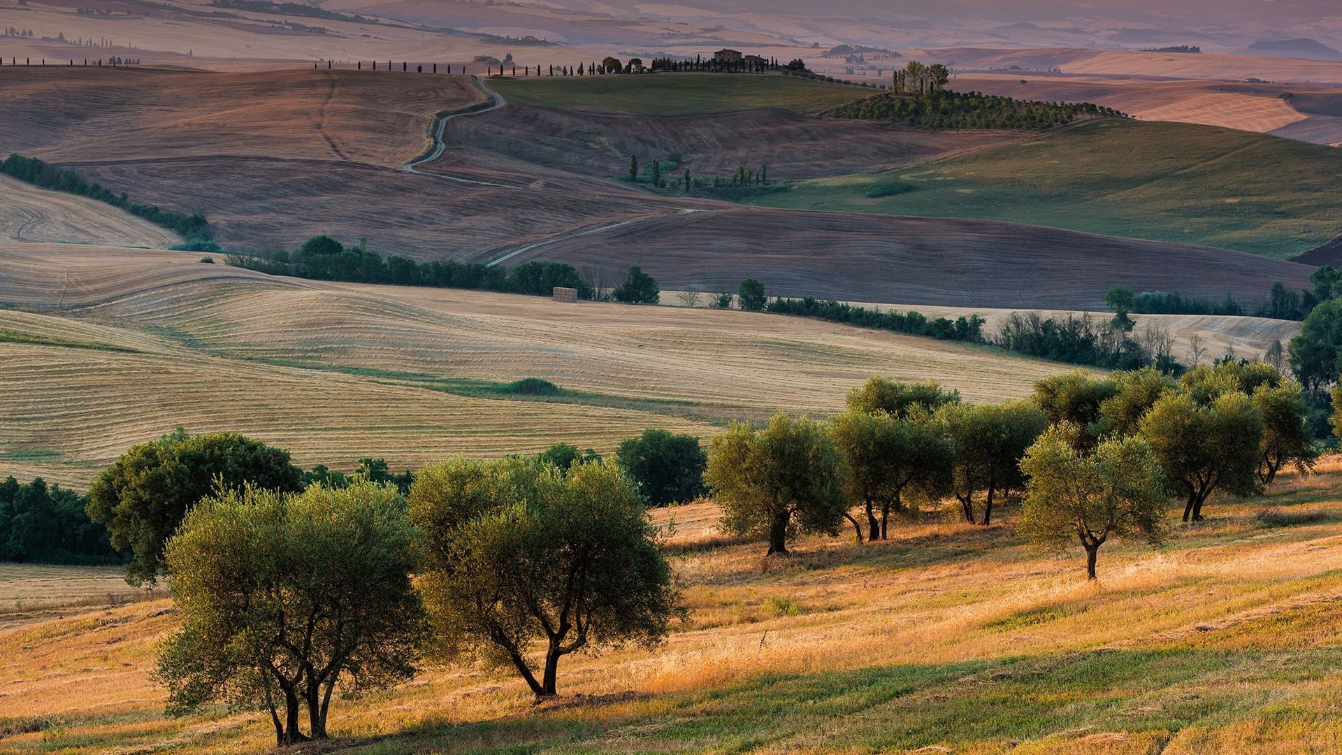 469629-nature-landscape-trees-field-grass-house-Tuscany