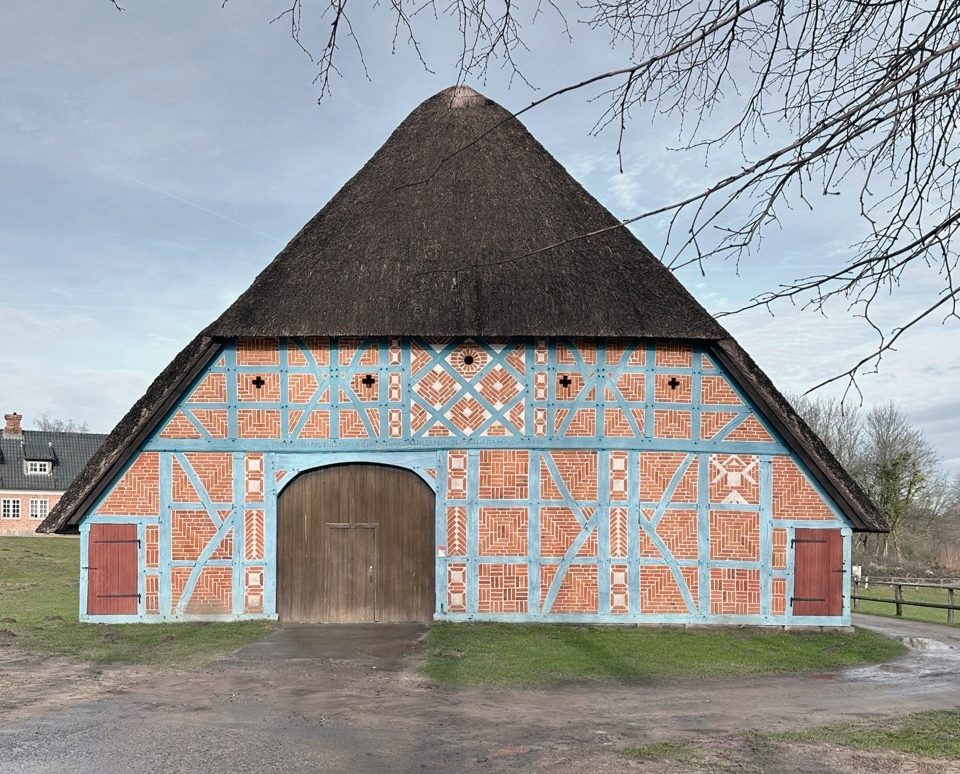 IMG_3188 2 Large Large