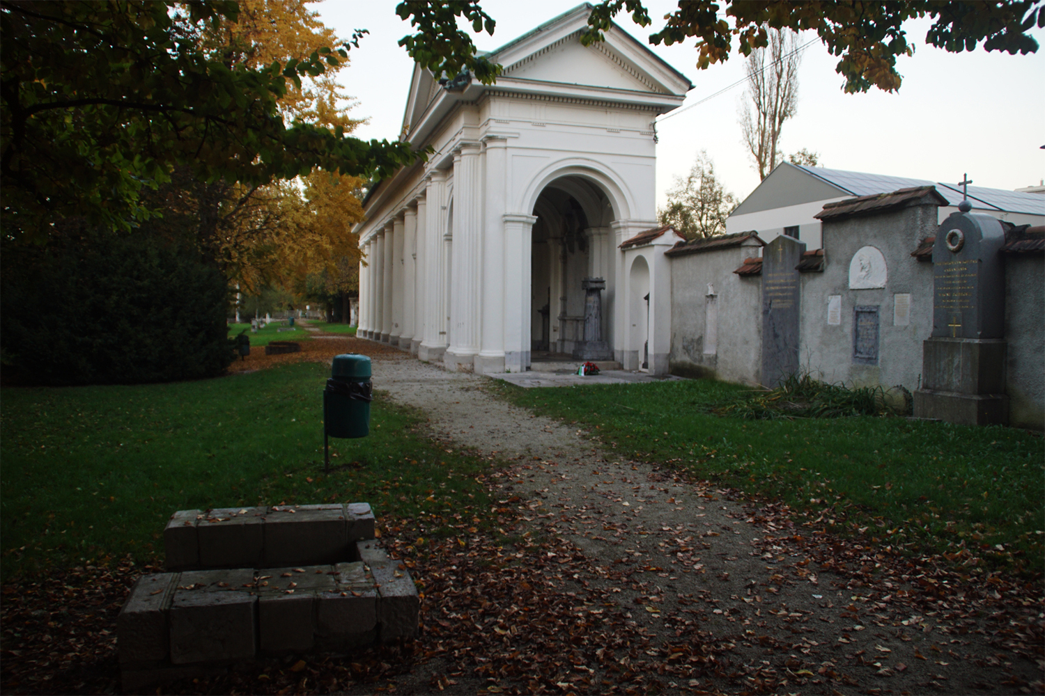 Navje-Baragovo-semenisce-Outsider-2024-00