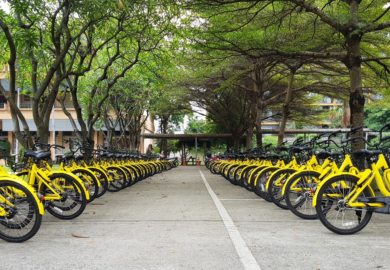 Rows of bright yellow public rental bikes on a street,Popular platforms of bicycle-sharing system,Parked vehicles.