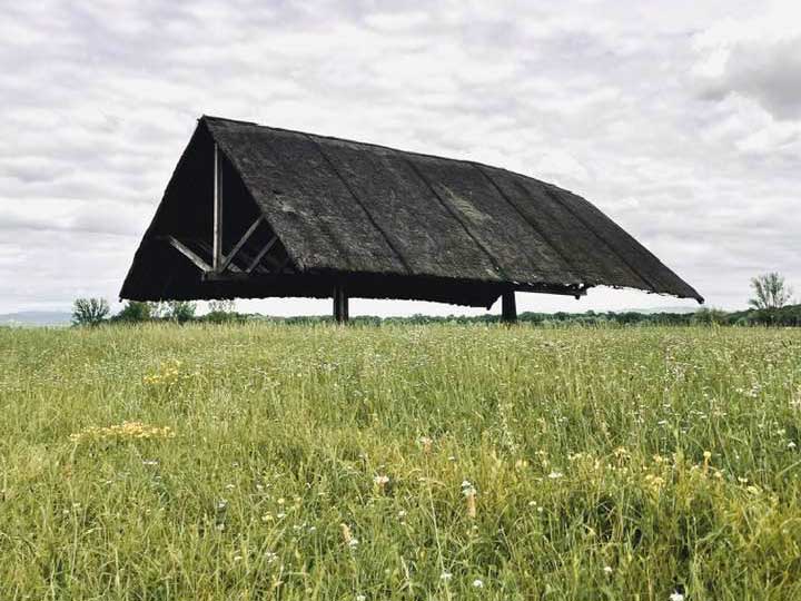 jugovec_jocif_358534040_10159846881878163_6634417069442460571_n