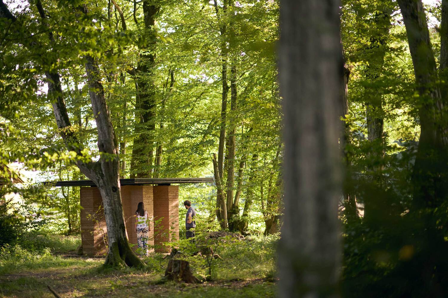 53909035852_d4327a436e_o