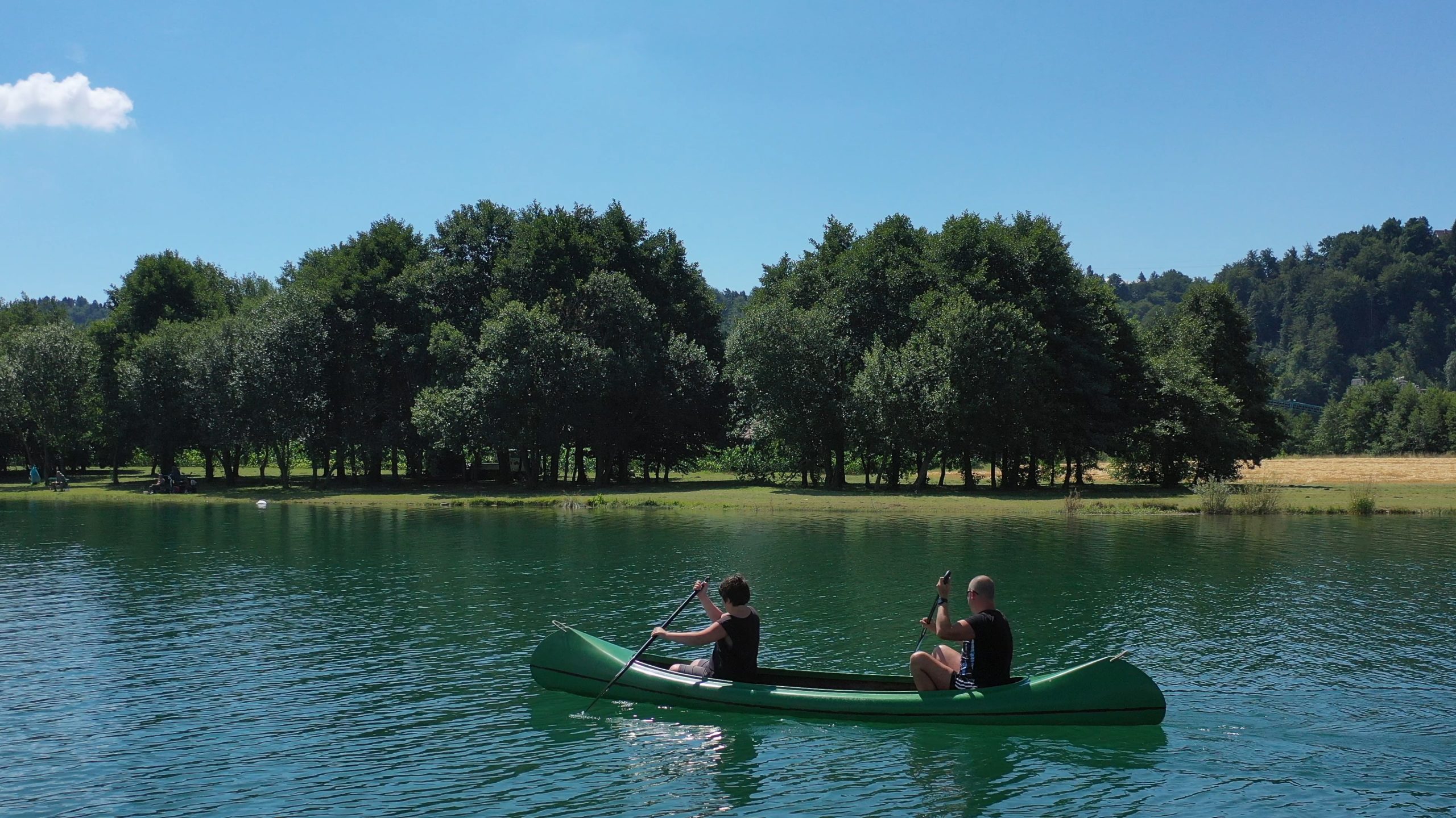 DSCF1050.00_07_22_19.Still010