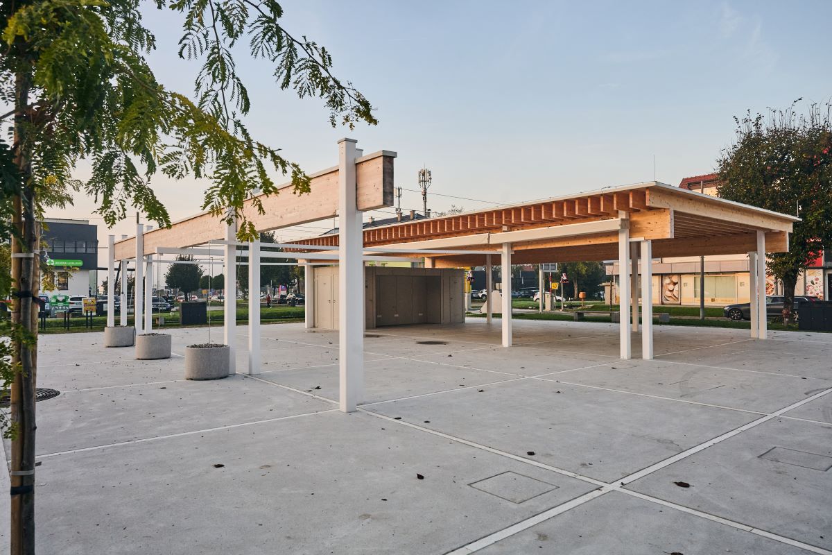 dsc_8020_54271676549_o