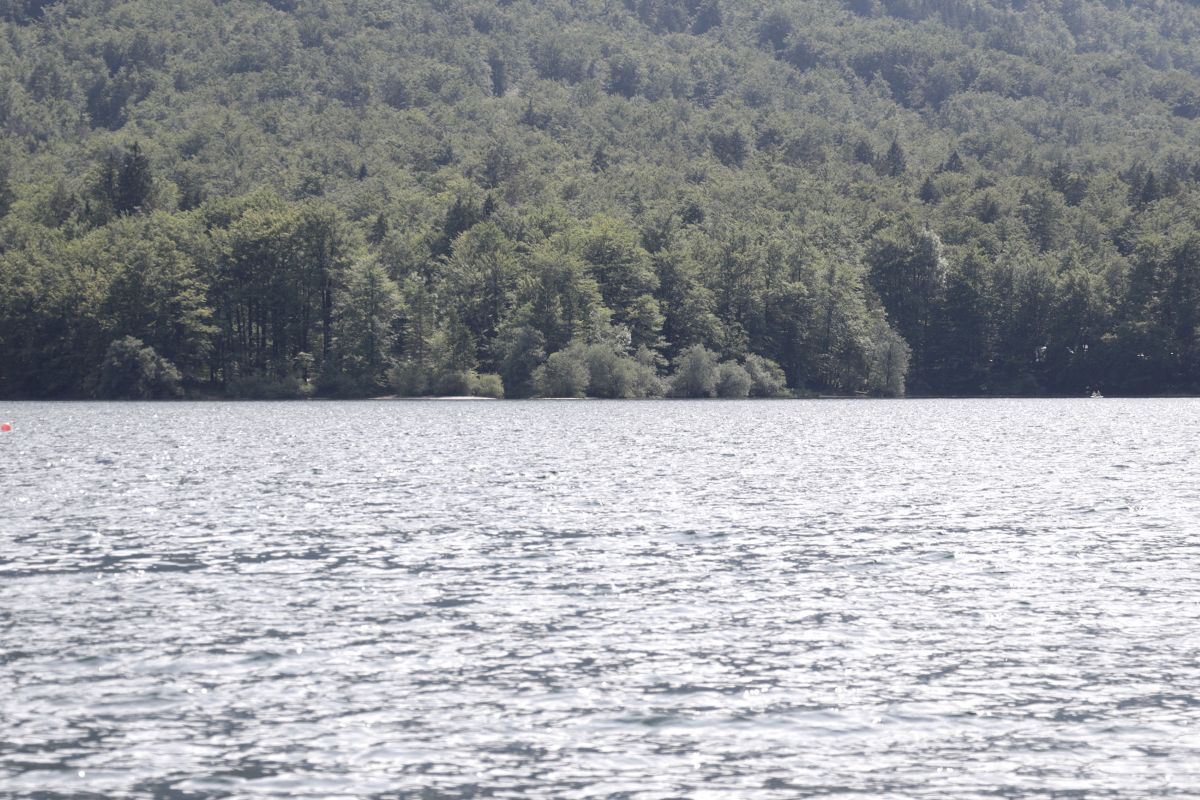 Slika 2_Bohinjsko jezero