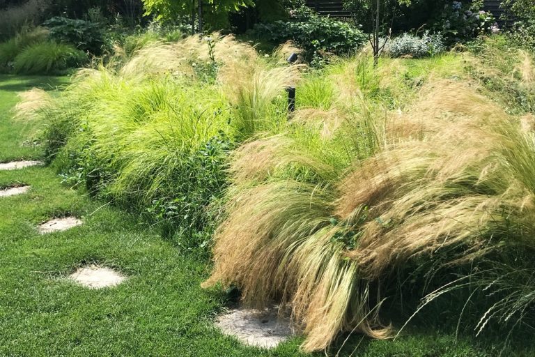 2.4svit oliver katanec Large