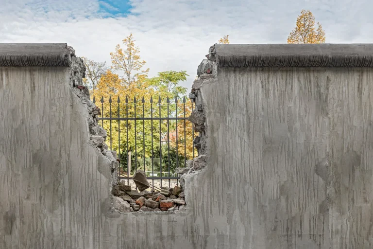 2827485.max-1280x1280.format-webp