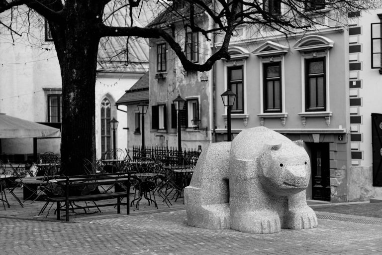 54933030574_ff8b7cb4d7_k Large