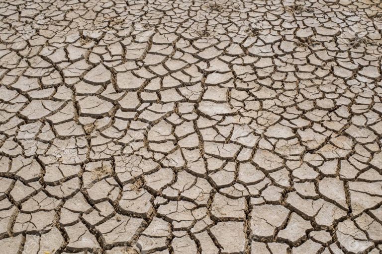 59952959-crack-soil-on-dry-season-global-warming-cracked-dried-mud-dry-cracked-earth-background-the-cracked-g