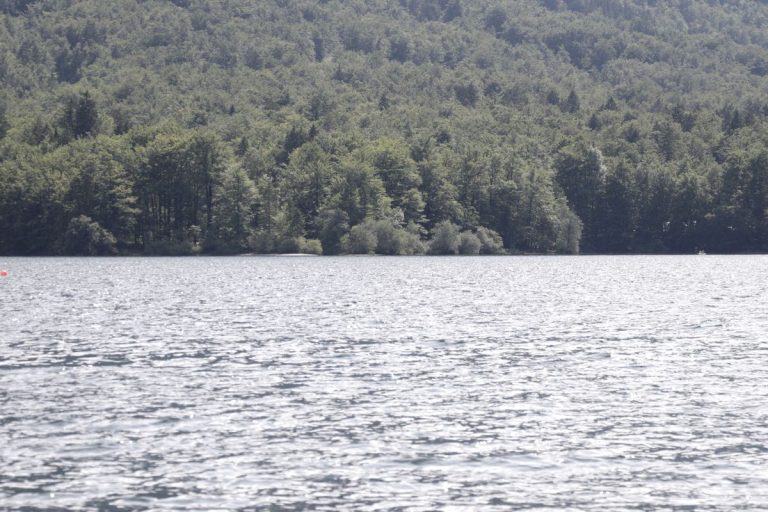 Slika 2_Bohinjsko jezero